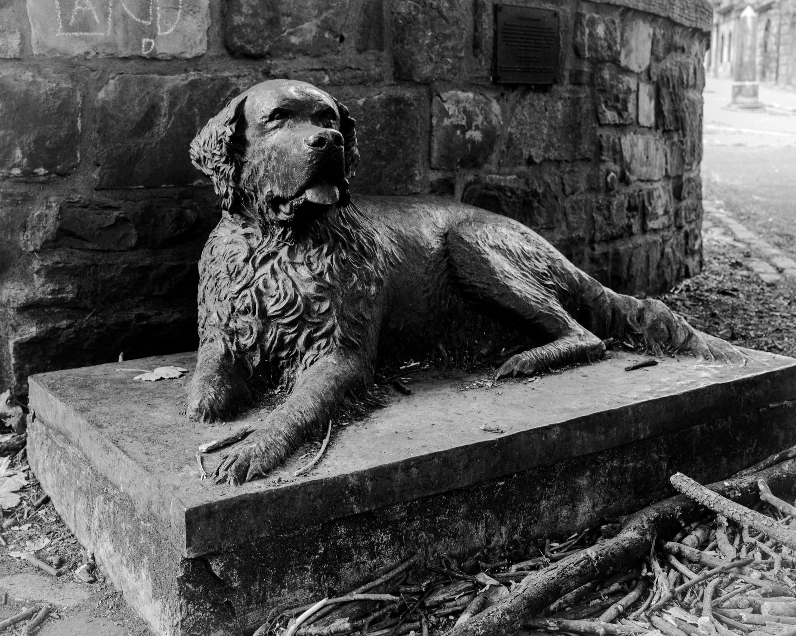A statue of a dog lying down on a memorial.